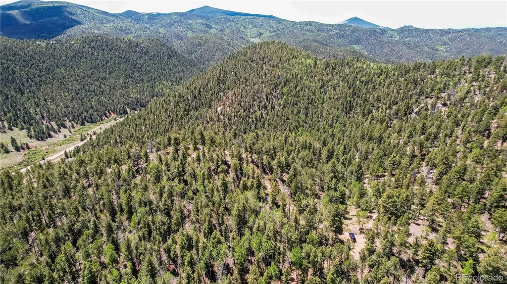 59 Robin Point Divide CO 80814