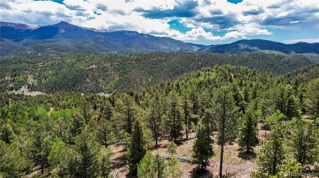 59 Robin Point Divide CO 80814