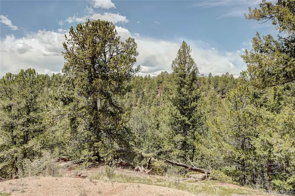 59 Robin Point Divide CO 80814