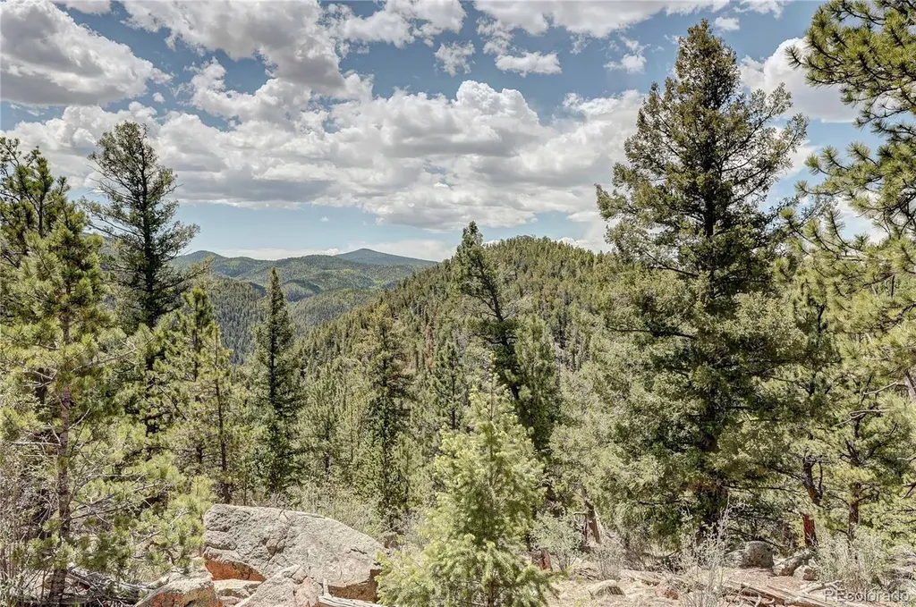59 Robin Point Divide CO 80814
