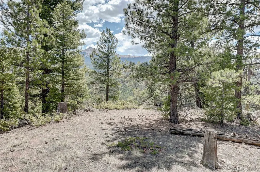 59 Robin Point Divide CO 80814