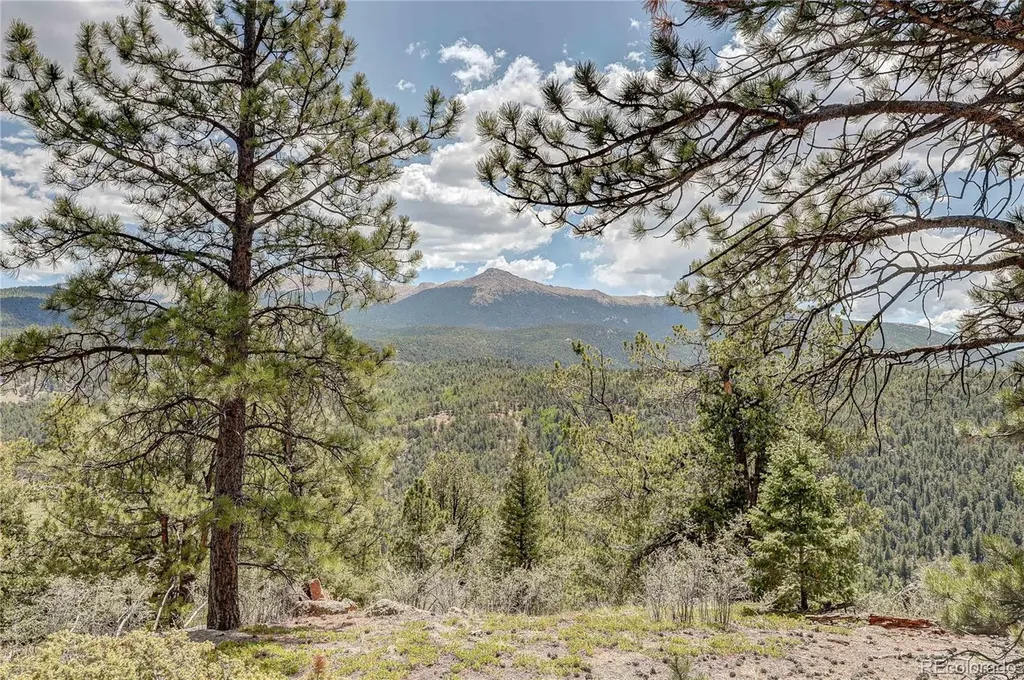 59 Robin Point Divide CO 80814