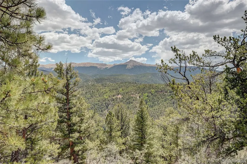 59 Robin Point Divide CO 80814