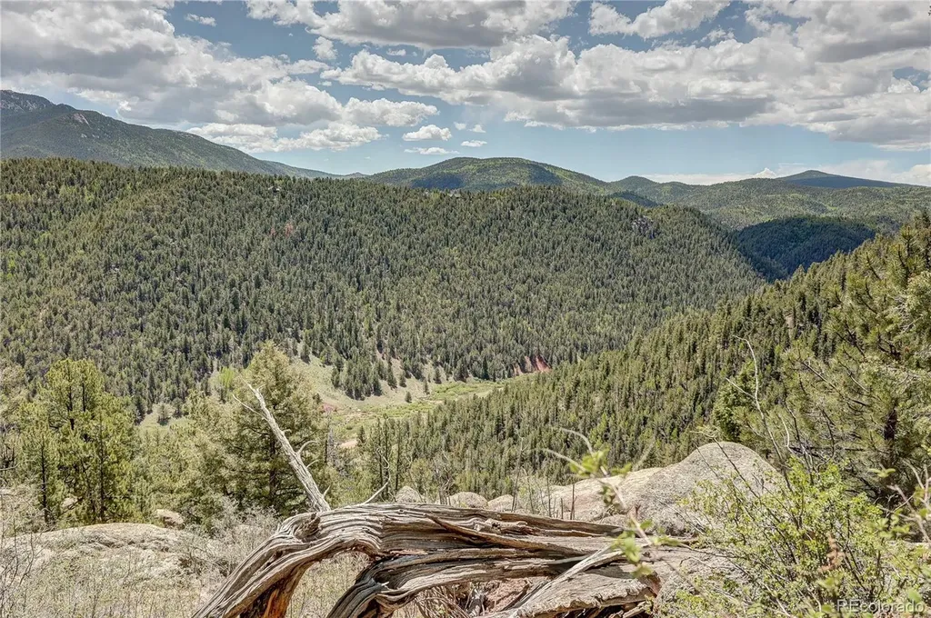 59 Robin Point Divide CO 80814