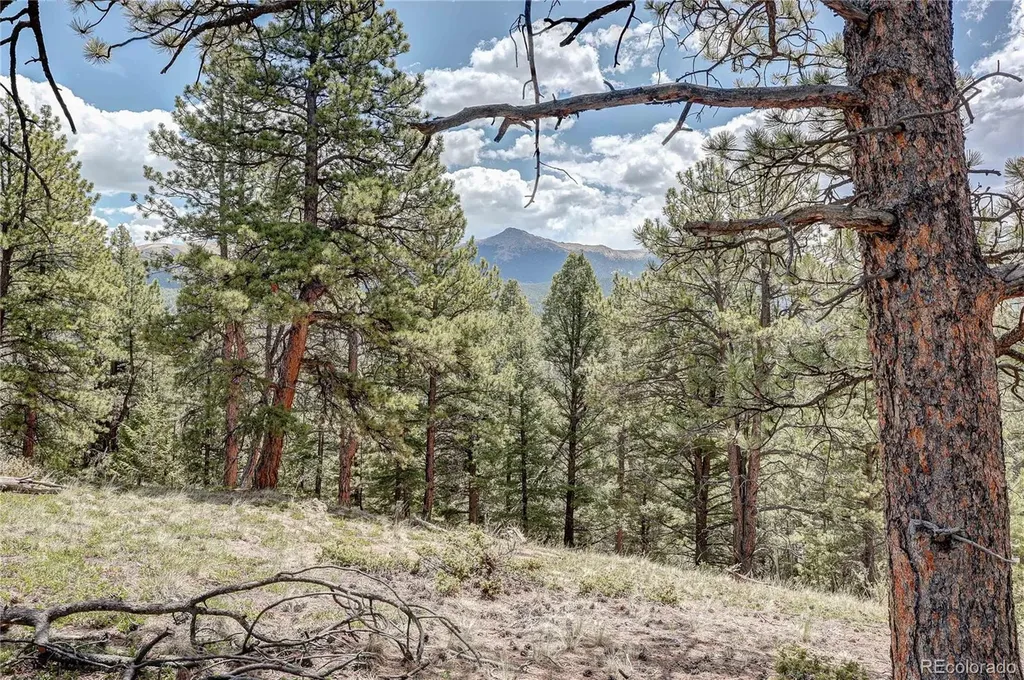 59 Robin Point Divide CO 80814