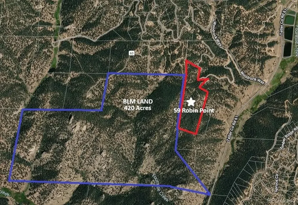 59 Robin Point Divide CO 80814