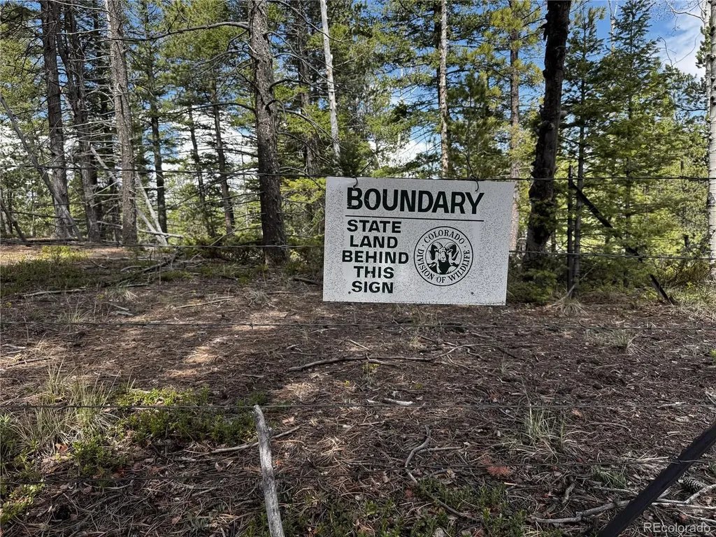 59 Robin Point Divide CO 80814