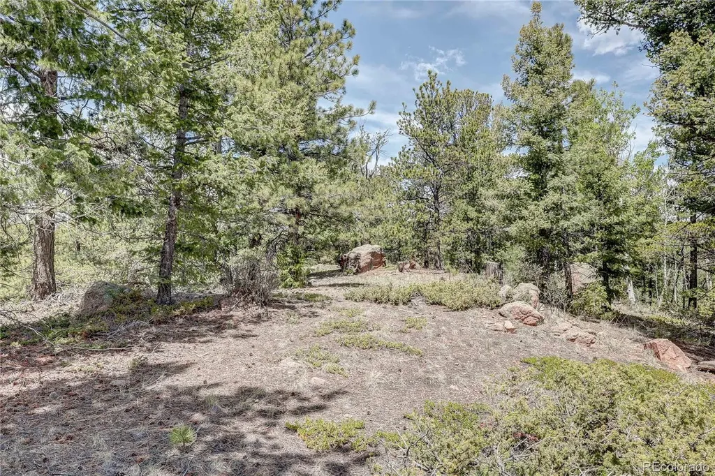 59 Robin Point Divide CO 80814