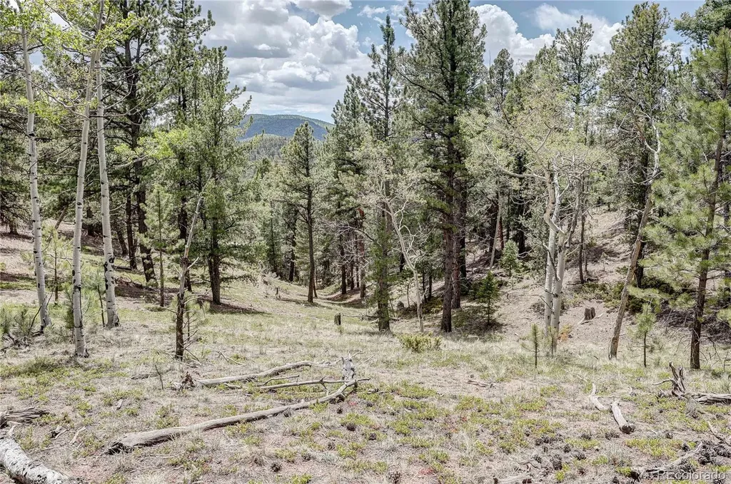 59 Robin Point Divide CO 80814