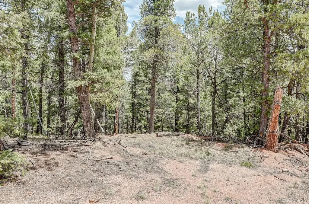 59 Robin Point Divide CO 80814