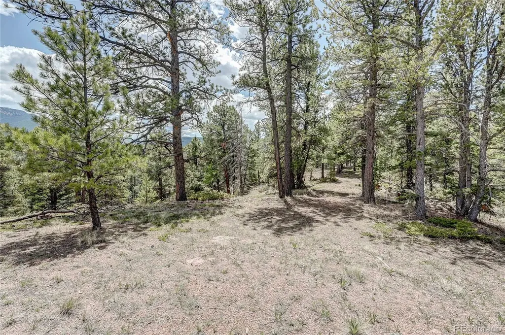 59 Robin Point Divide CO 80814