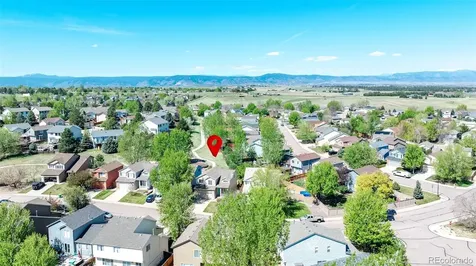 3536 Morning Glory Drive Castle Rock CO 80109