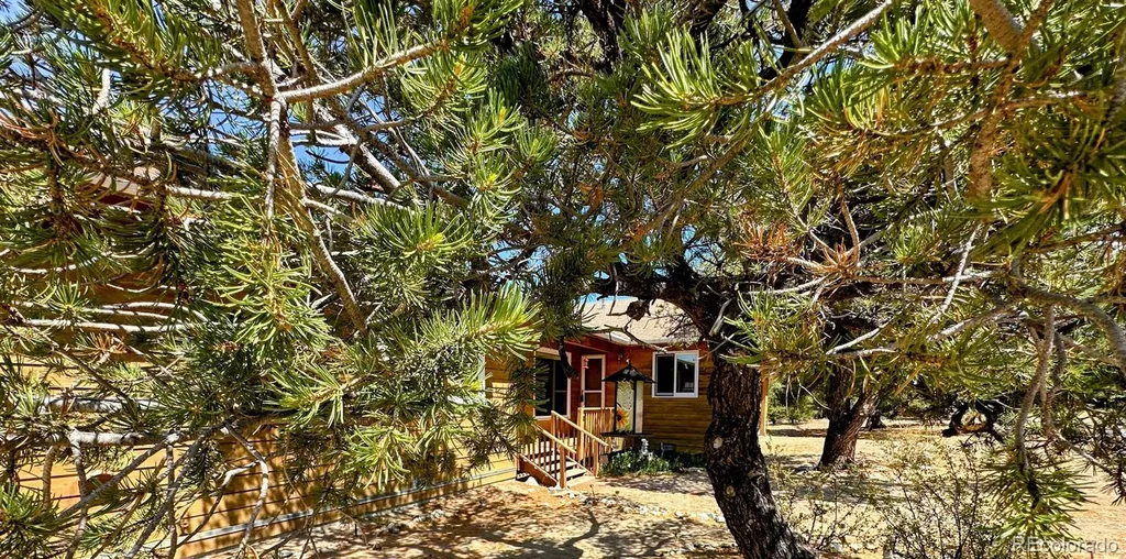 105 Indian Hill Road Mosca CO 81146
