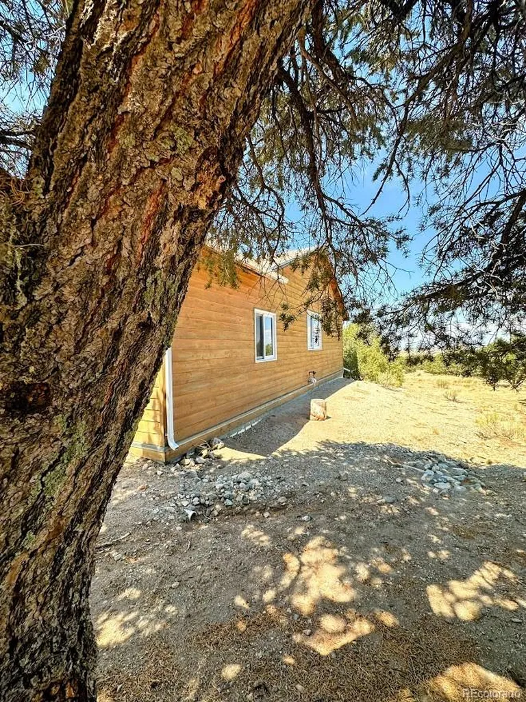 105 Indian Hill Road Mosca CO 81146