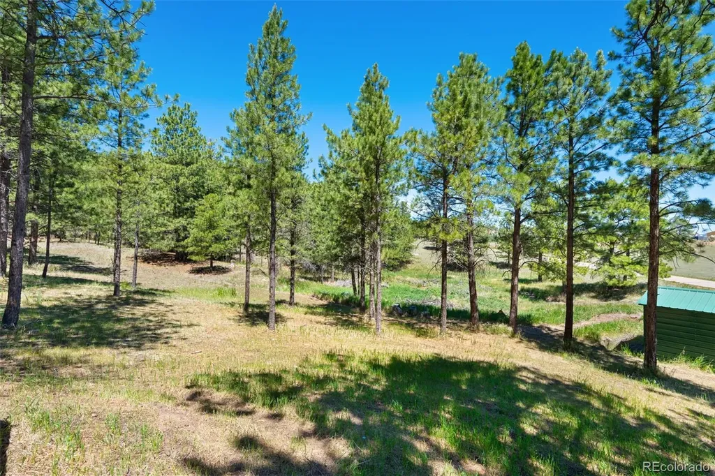5463 High Park Road Florissant CO 80816