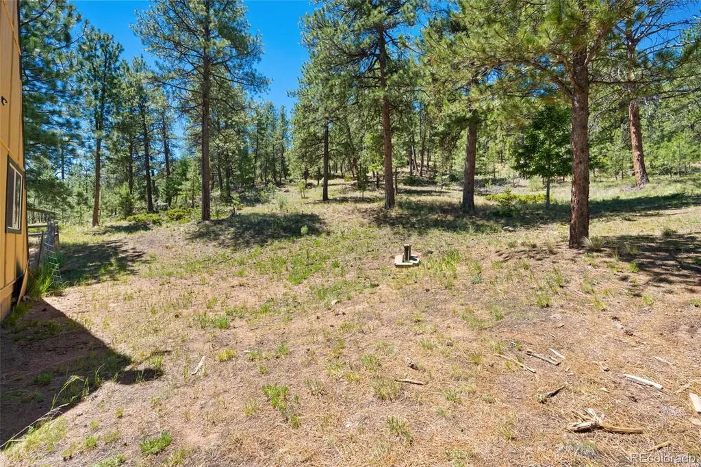 5463 High Park Road Florissant CO 80816