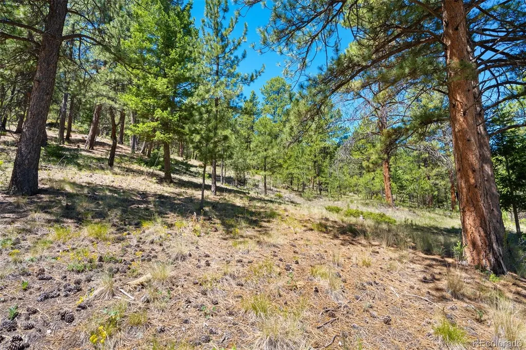 5463 High Park Road Florissant CO 80816