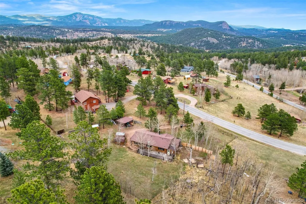312 S Pine Drive Bailey CO 80421