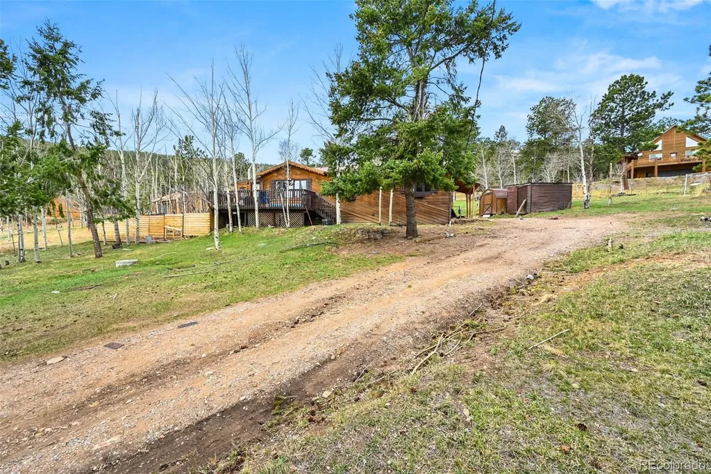 312 S Pine Drive Bailey CO 80421
