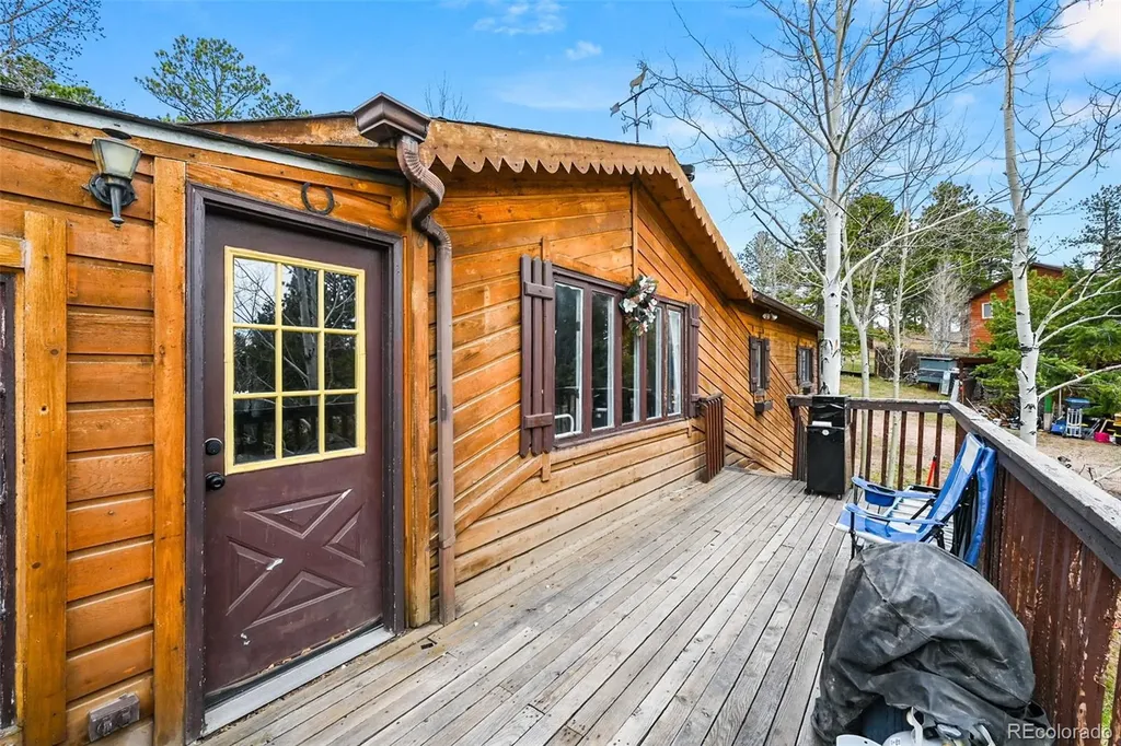 312 S Pine Drive Bailey CO 80421