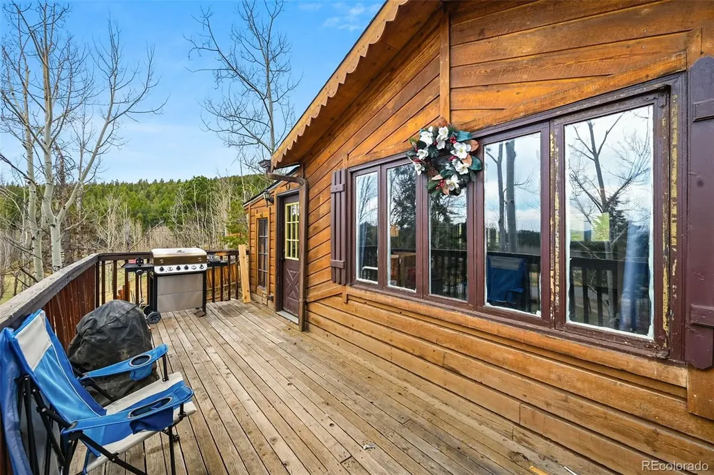 312 S Pine Drive Bailey CO 80421