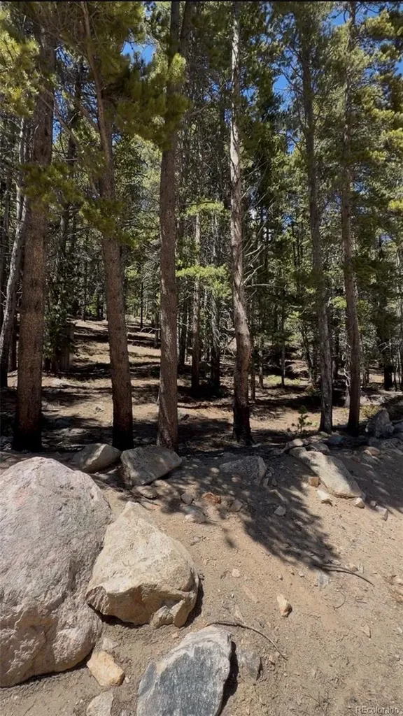 Lot 378 Alice Road Idaho Springs CO 80452