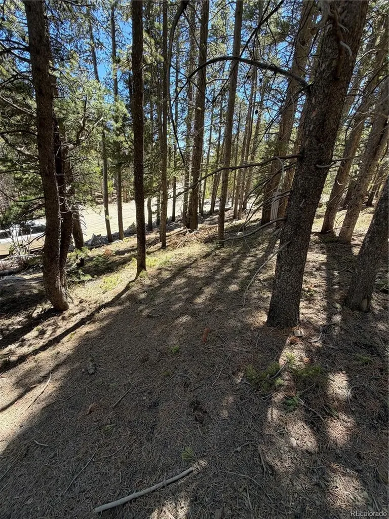 Lot 378 Alice Road Idaho Springs CO 80452