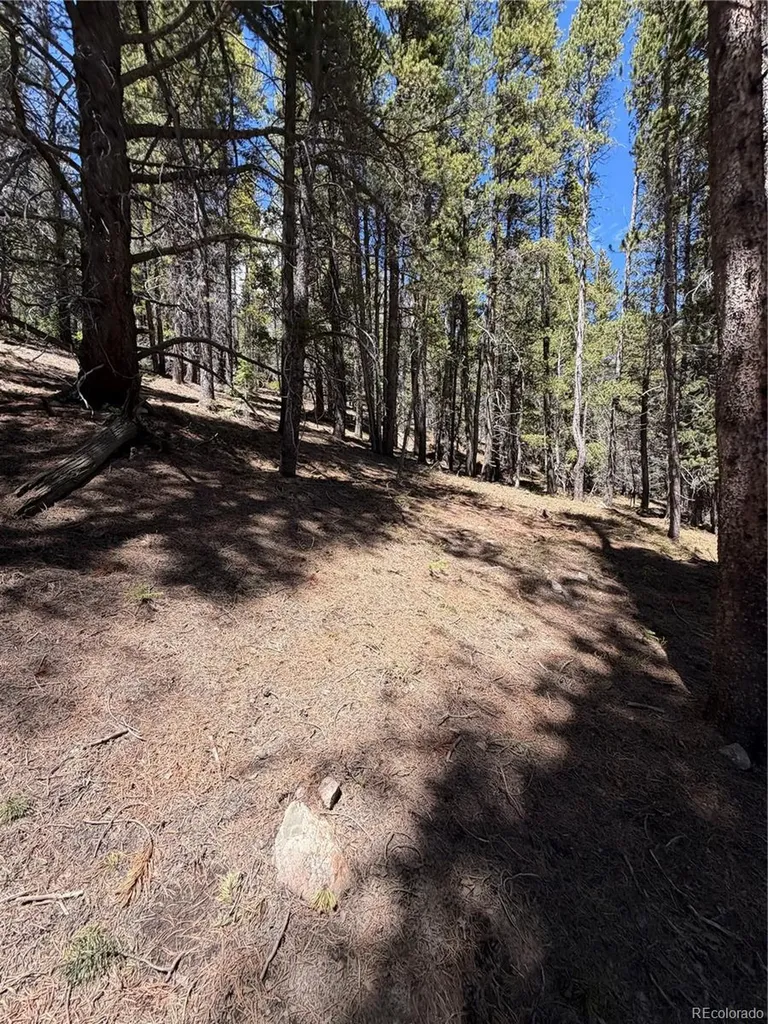 Lot 378 Alice Road Idaho Springs CO 80452
