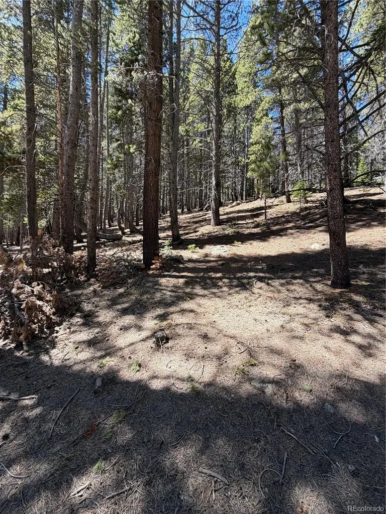 Lot 378 Alice Road Idaho Springs CO 80452