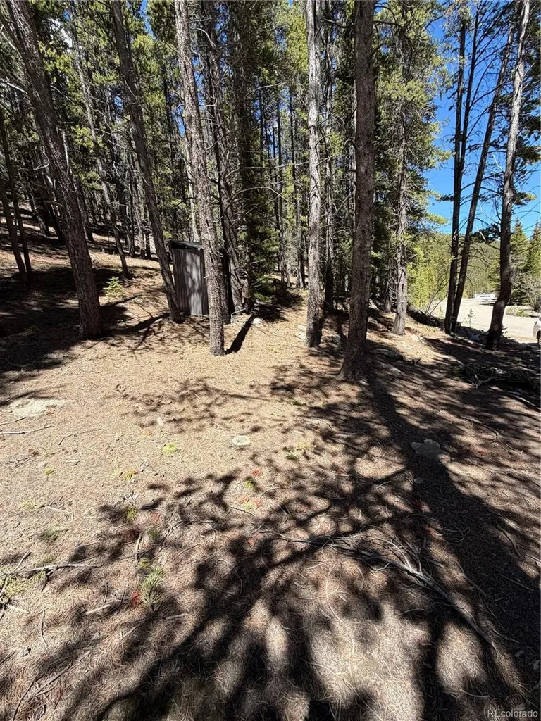 Lot 378 Alice Road Idaho Springs CO 80452