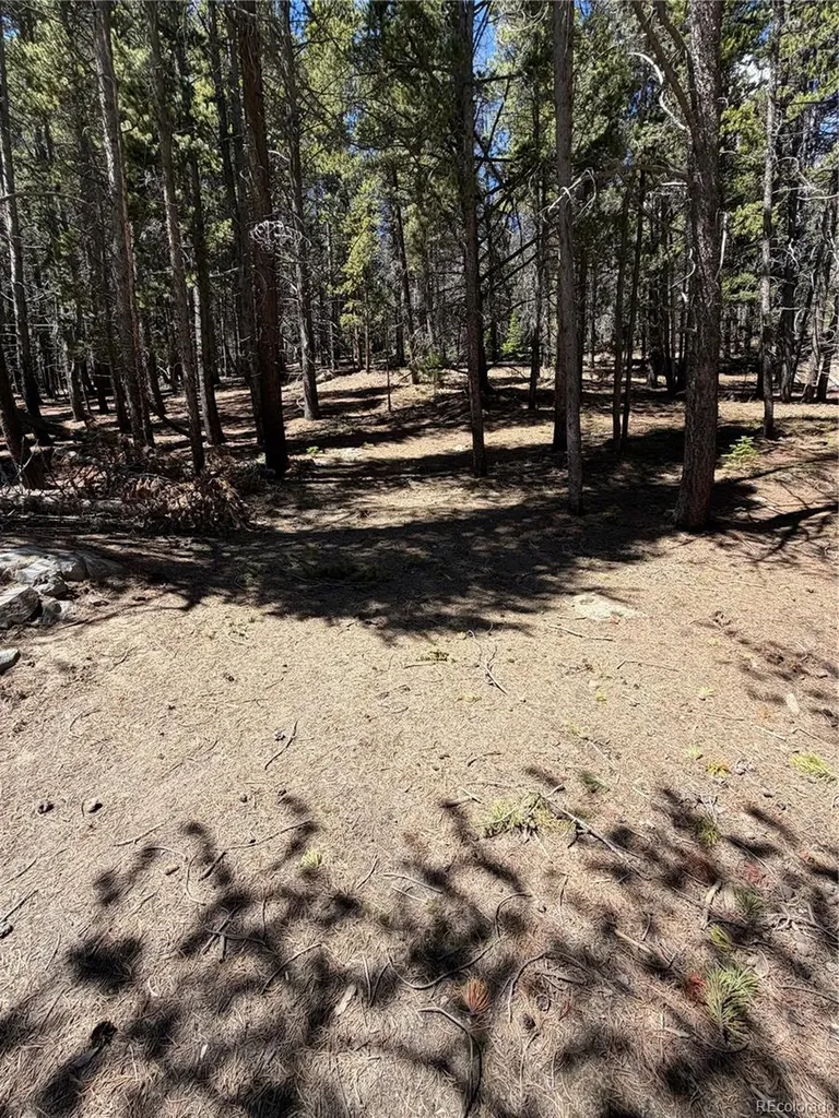 Lot 378 Alice Road Idaho Springs CO 80452