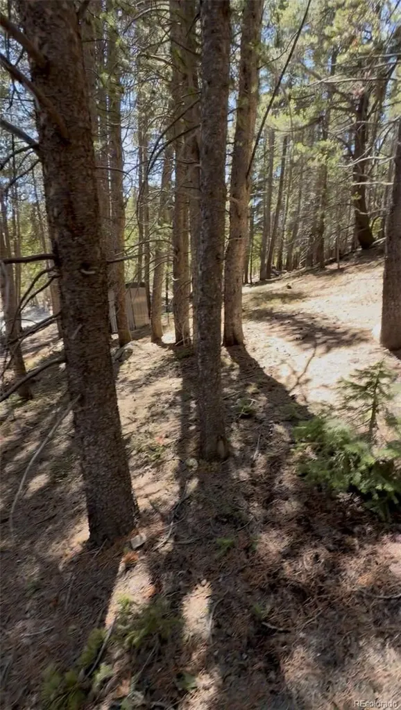 Lot 378 Alice Road Idaho Springs CO 80452