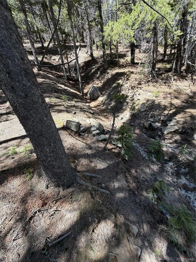 Lot 378 Alice Road Idaho Springs CO 80452