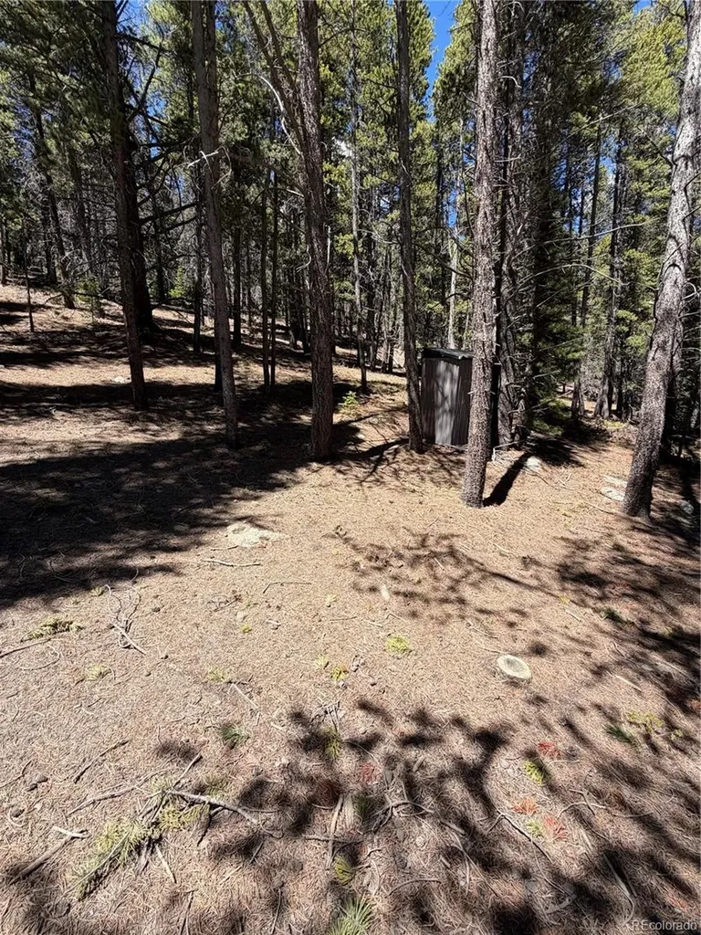 Lot 378 Alice Road Idaho Springs CO 80452