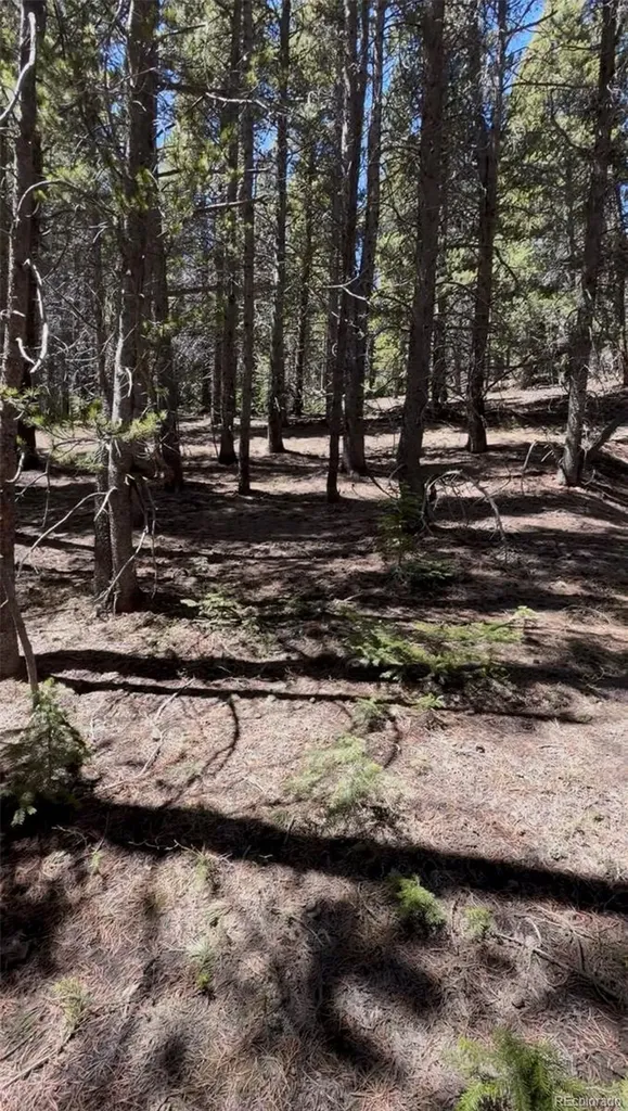 Lot 378 Alice Road Idaho Springs CO 80452