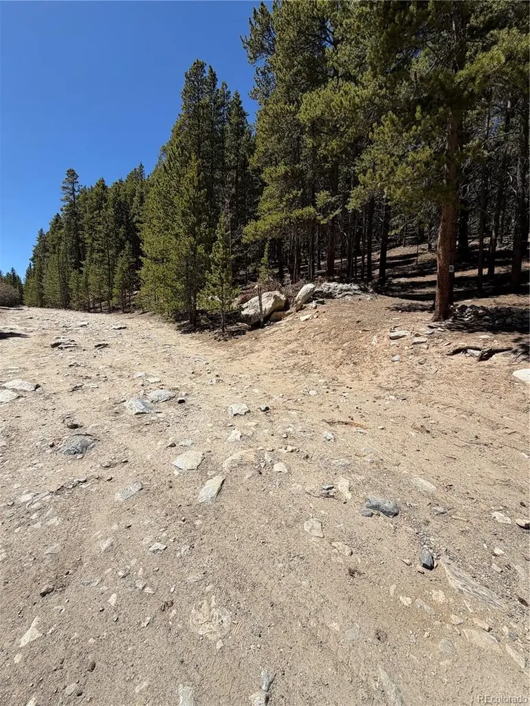 Lot 378 Alice Road Idaho Springs CO 80452