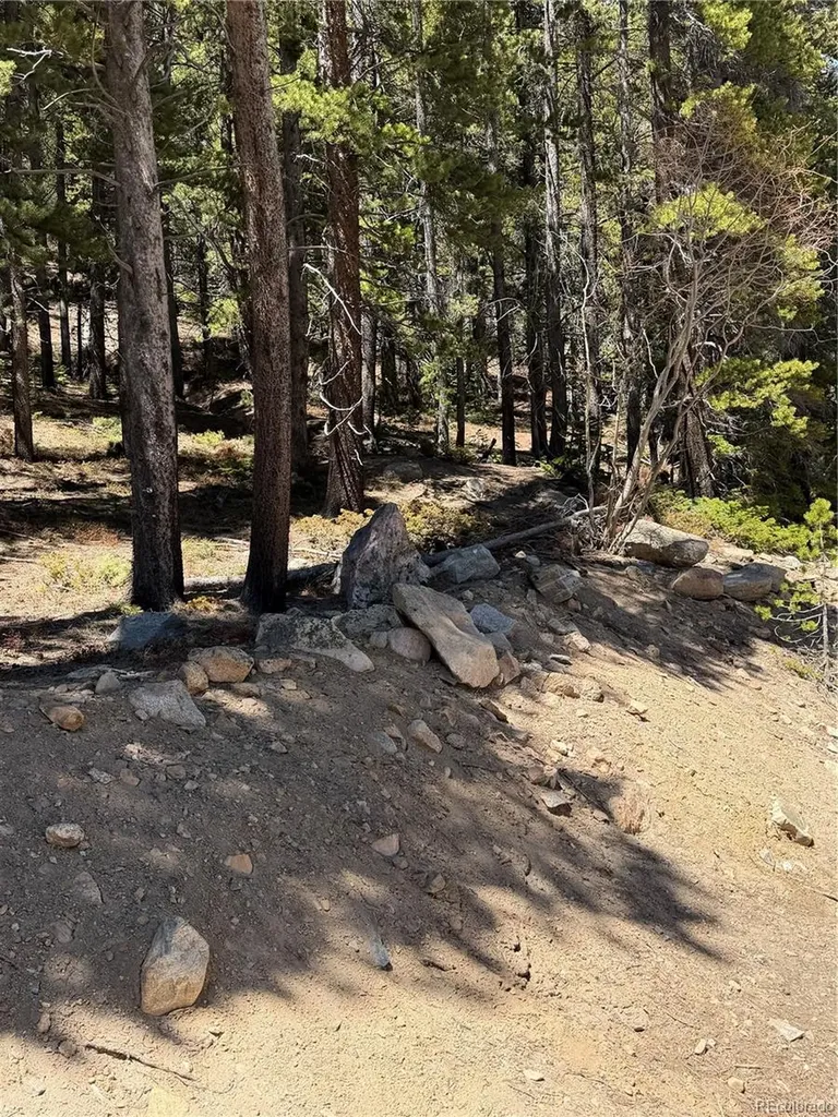 Lot 378 Alice Road Idaho Springs CO 80452