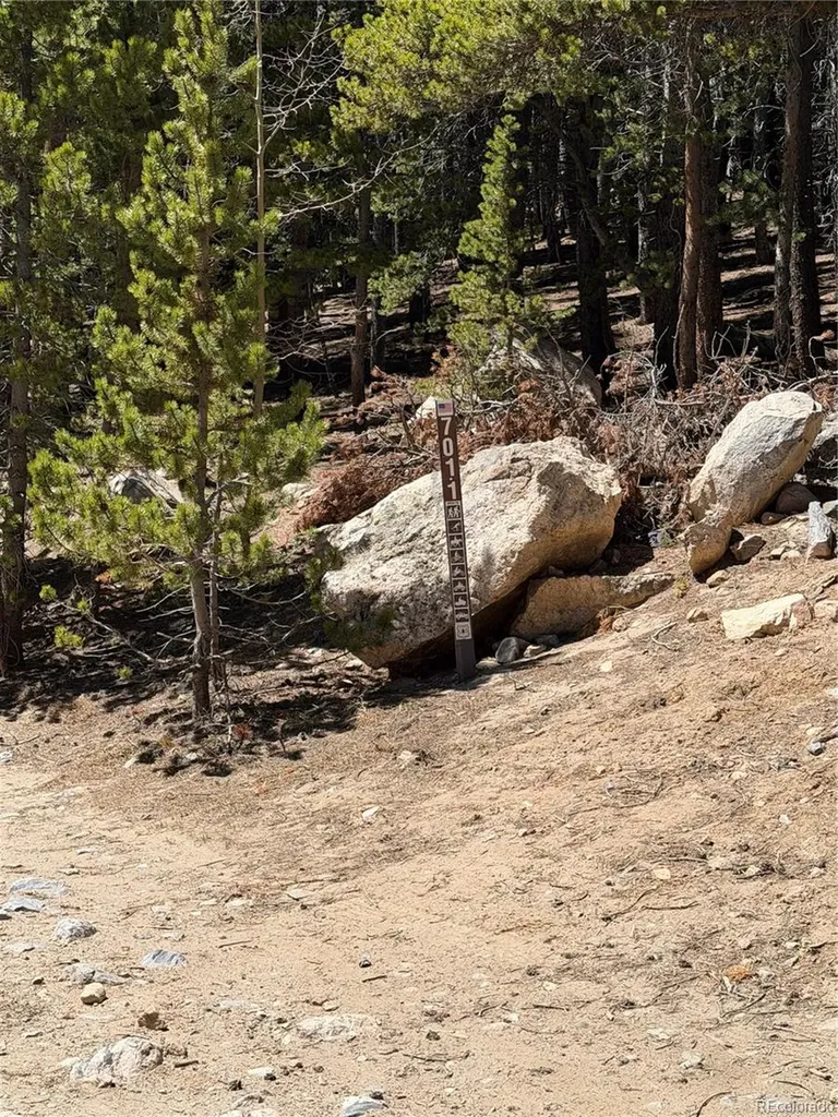 Lot 378 Alice Road Idaho Springs CO 80452