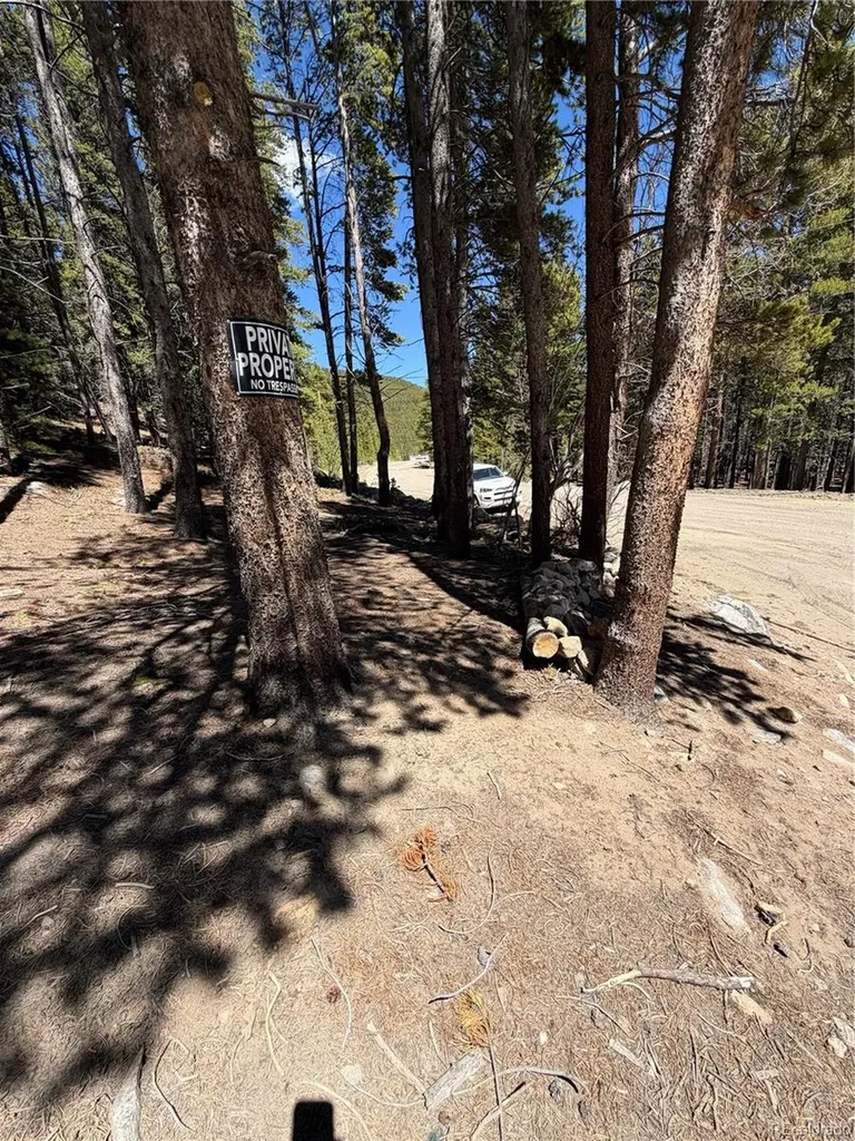 Lot 378 Alice Road Idaho Springs CO 80452
