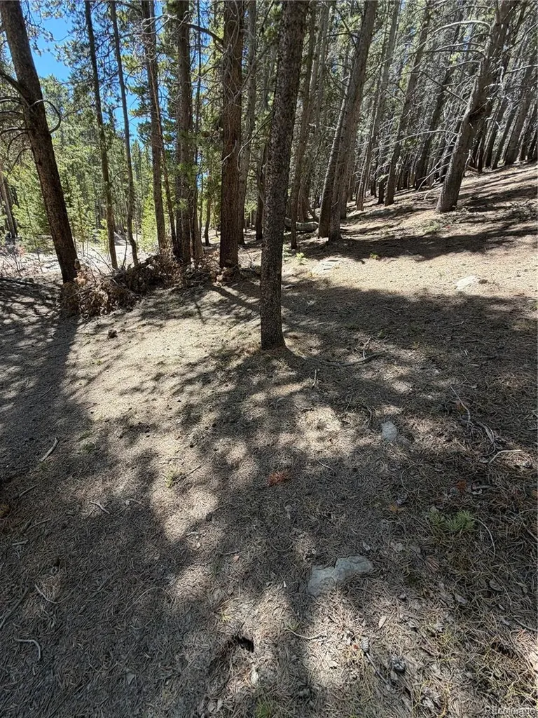 Lot 378 Alice Road Idaho Springs CO 80452
