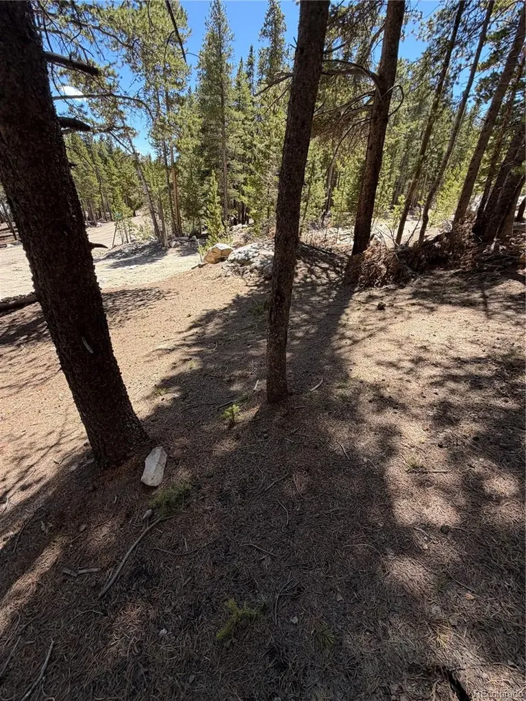 Lot 378 Alice Road Idaho Springs CO 80452