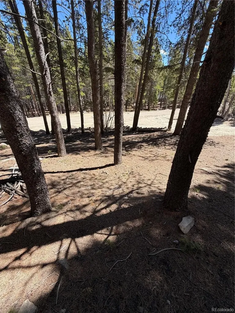 Lot 378 Alice Road Idaho Springs CO 80452