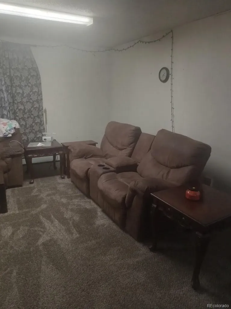 407 Palmer Street Delta CO 81416