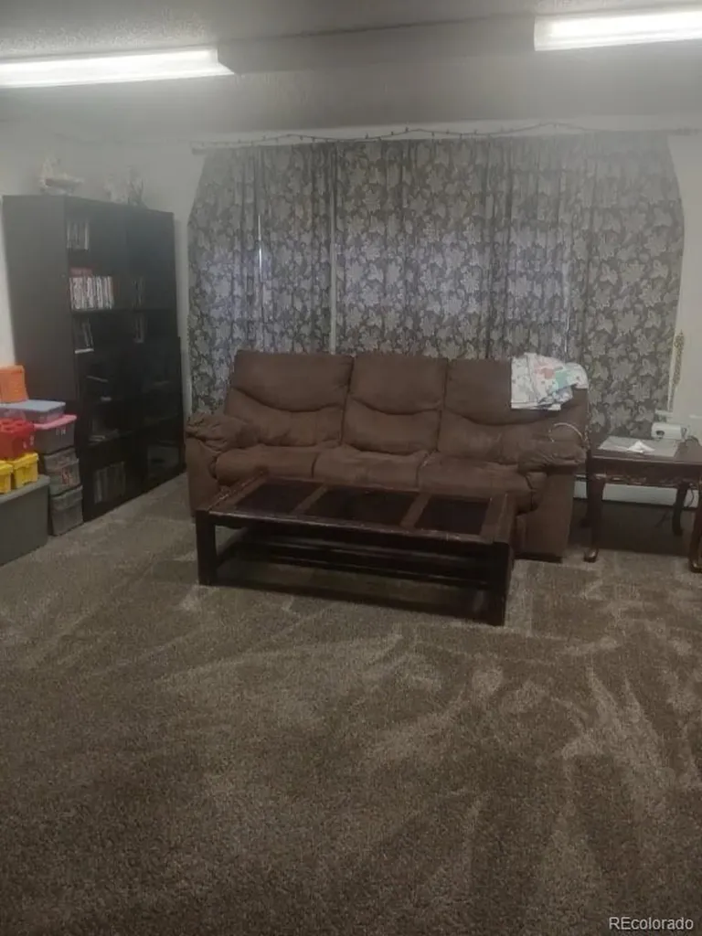 407 Palmer Street Delta CO 81416