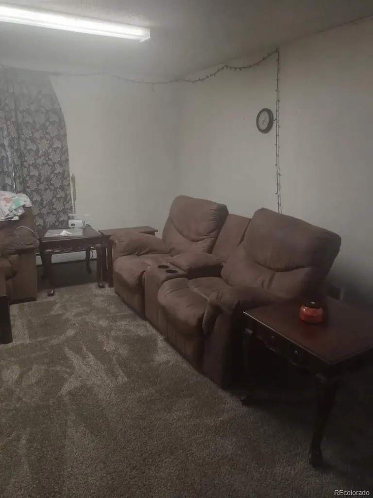 407 Palmer Street Delta CO 81416