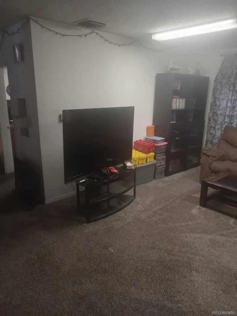 407 Palmer Street Delta CO 81416
