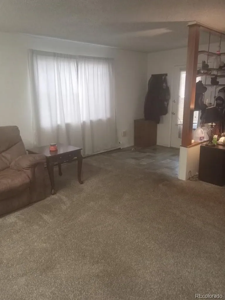 407 Palmer Street Delta CO 81416