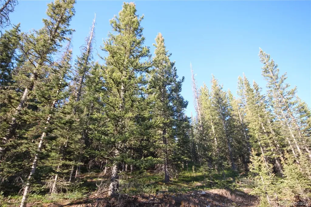 Lot 6613 Starkweather Road San Luis CO 81152