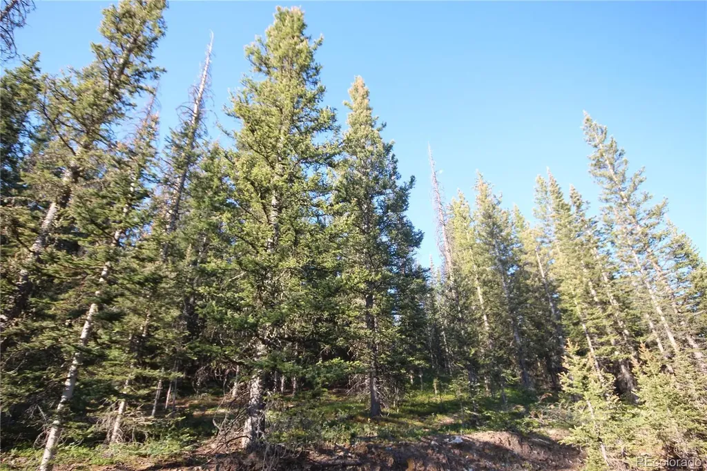 Lot 6613 Starkweather Road San Luis CO 81152