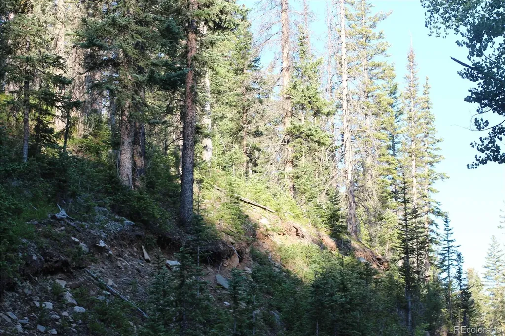 Lot 6613 Starkweather Road San Luis CO 81152